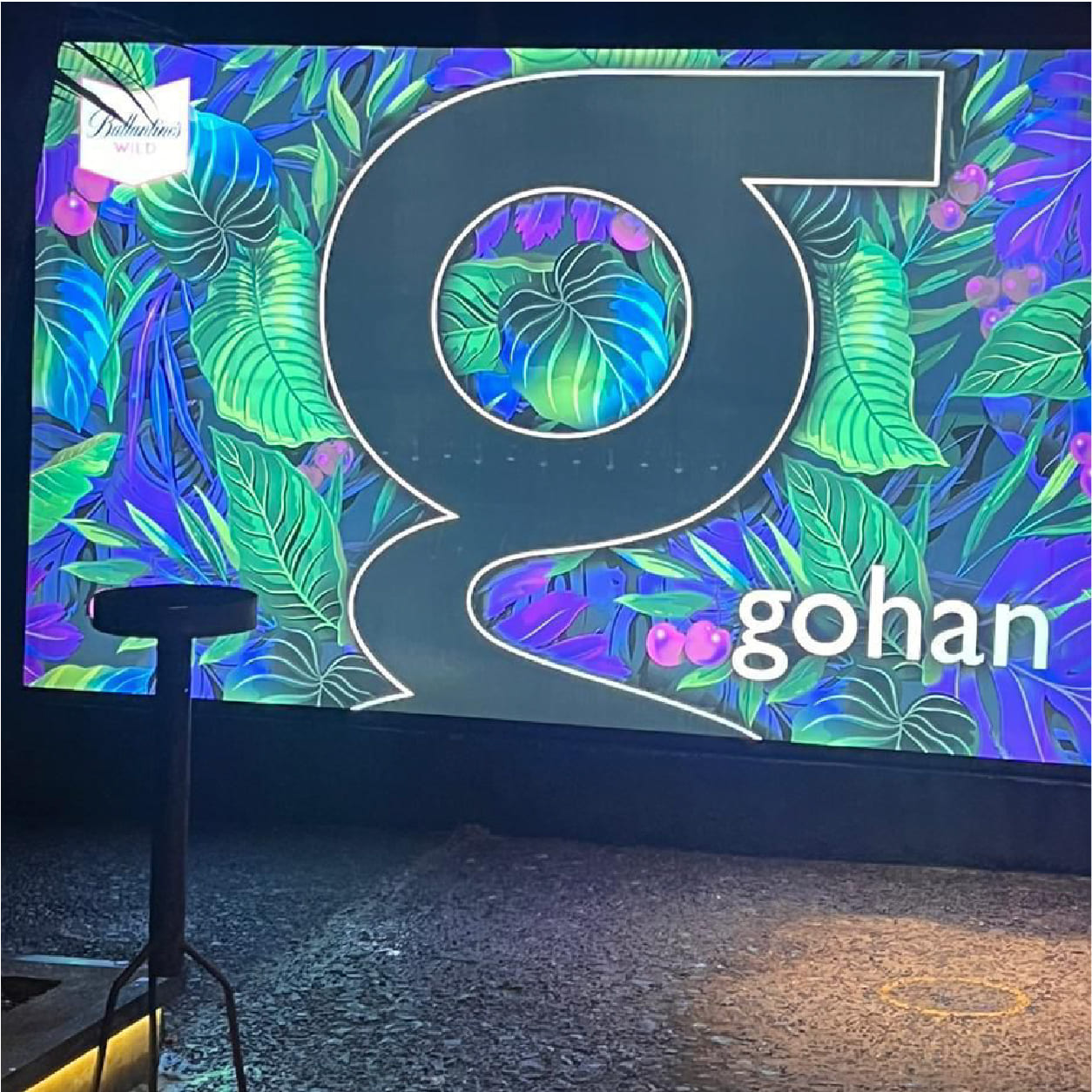 Piwke Patagonia Proyectos Remodelaciones Gohan2_Mesa de trabajo 1 copia 4